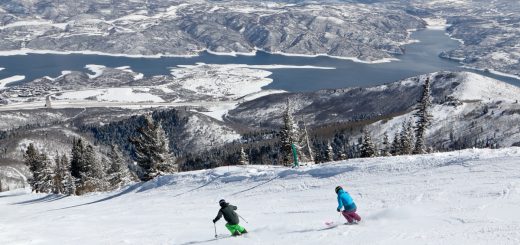 alterra-deer-mountain