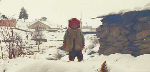 auli-india-ski-spectator