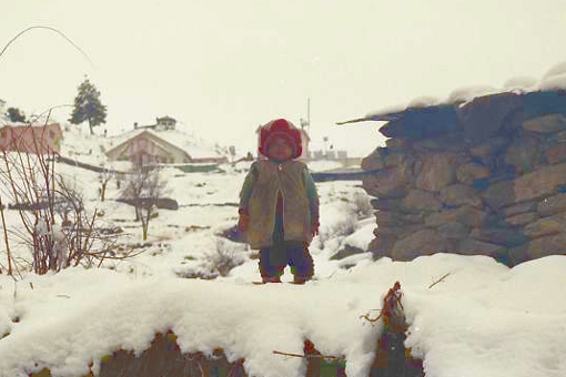auli-india-ski-spectator