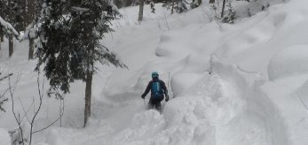 backcountry-fieberbrunn