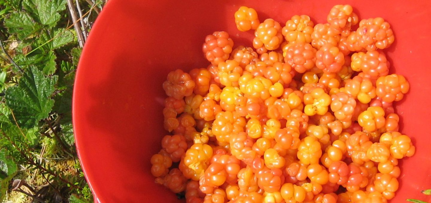 cloudberries