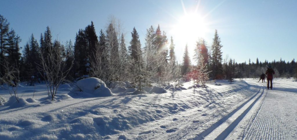 cross-country-skiing-wilderness