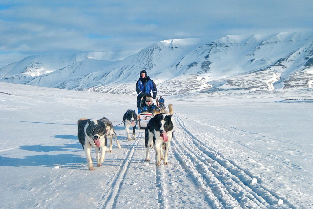 dog-sledding