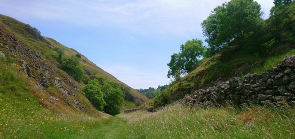 hall-dale