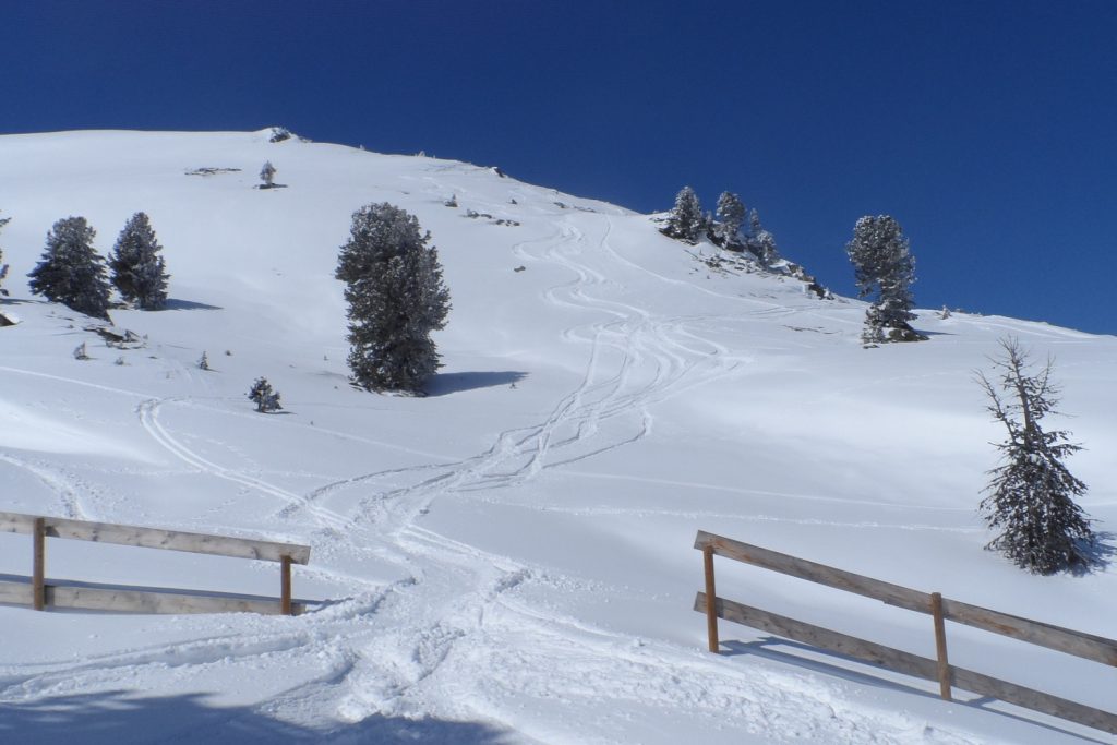 kaltenbach-ski-ss