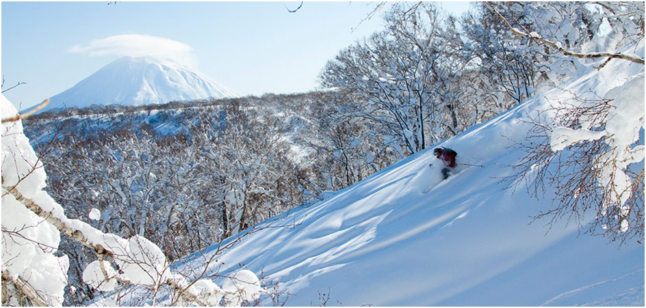 niseko