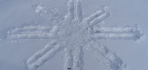 snow-art-attempt